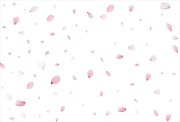 Cherry petals backdrop. Sakura petals background.