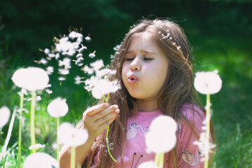 Beautiful little girl blowing white dandelions - 514060140