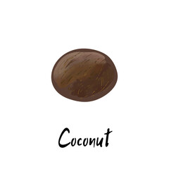Illustration of a coconut isolated on a white background