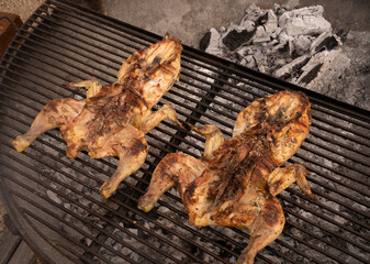 Barbecue outdoor. Roasting two chickens in the metal grill with a charcoal fire.  Delicious crispy meat. 