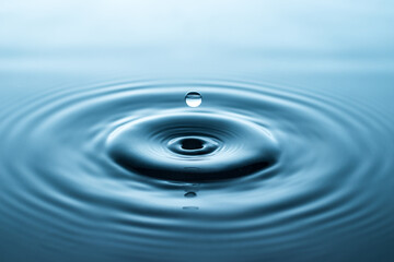 Falling drop and circular wave and ripples on the water surface