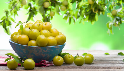 Yellow ripe plum fruits in a blue bowl on rustic table outdoors. Organic fruits concept