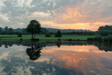 Obraz premium Tree reflection in lake on early misty morning at sunrise