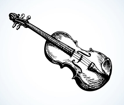 Still life with a violin. Vector drawing