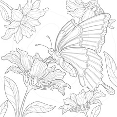 Hand drawn butterfly with simple patterns on the wings, flowers and leaves on a white isolated background. Insect, nature. Illustration for coloring book pages.
