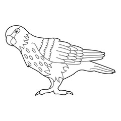 Contour linear illustration for coloring book with decorative parrot. Beautiful bird, anti stress picture. Line art design for adult or kids in zen-tangle style, tatoo and coloring page.