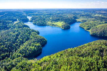 Aerial view on Ladoga lake. Ladoga Lake in Karelia in summer. Blue lake and green forest top view