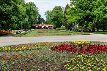 Obraz premium RABKA ZDROJ, POLAND - JUNE 18, 2022: A beautiful public park in Rabka-Zdroj, Poland.