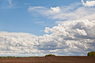 Clouds in the blue sky. Background, blue sky with cumulus clouds.