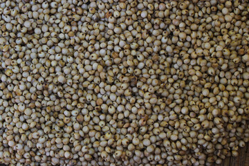 Close-up view of White Sorghum or Jowar Grain on white background