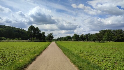 weingarten baden-württemberg felder und wald