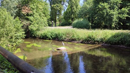 See in Deutschland mit viel Wasser.