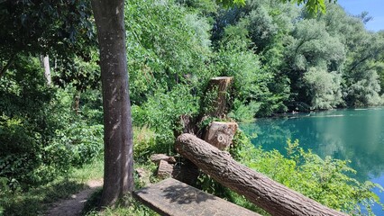 Baggersee in Deutschland im Sommer Wald