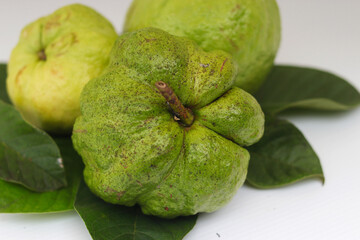 a group of fresh ripe Crystal guava (Psidium guajava) on green leaves isolated on white background.
