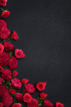 Primavera di fiori e colori con rose e amore