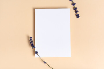 Real photo. Square invitation white greeting card mockup with a a flowers lavender branch. Top view...