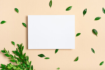 Real photo. Square invitation white greeting card mockup with a boxwood branch. Top view with copy...