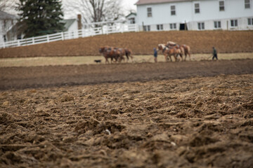 Closeup of the dirt in a plowed farm field, with Amish men plowing in the background, Shallow depth...