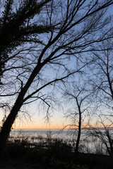 Shore of Trasimeno lake Umbria, Italy with skeletal plants beneath a dusk sky, making textures