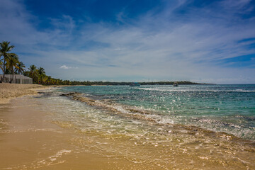 Caribbean beach with a lot of palms and white sand, Dominican Republic