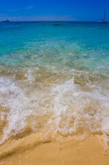 Caribbean beach with a lot of palms and white sand, Dominican Republic