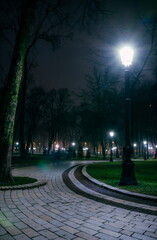 The alley of a night early winter park in a light fog. Footpath in a fabulous late autumn city park...