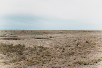 Picturesque Steppe View Landscape Against The Sky In Summer.