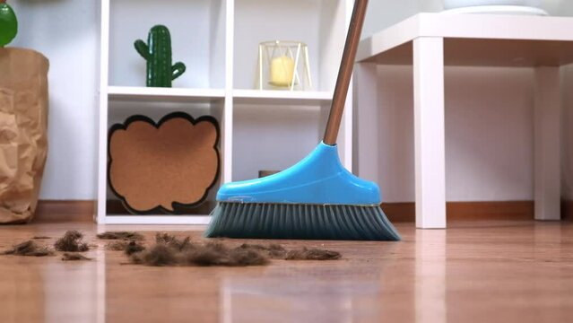 Hair after cutting on the floor. Cleaning hair with a broom in a dustpan.