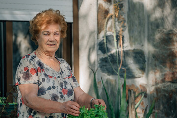 entertaining senior woman with plants in summer