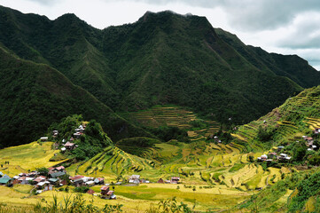 Mountain Province, Philippines: majestic agricultural landscape of the ancient amphitheater Banaue...