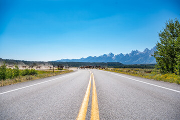 Wyoming Horse Ranch