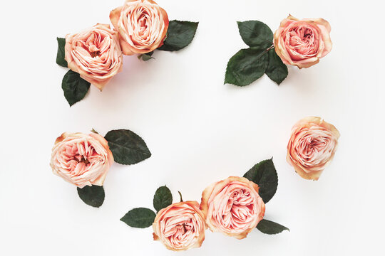 Pink flowers peony roses decor on white background, top view