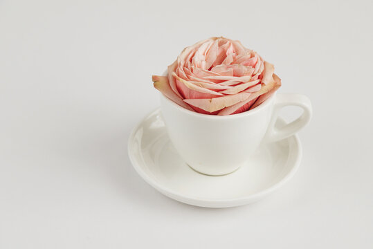 White mug for tea with a peony rose bud inside, top view, minimalism