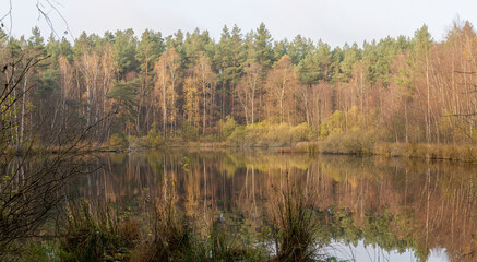 Frühlingsabend am Waldsee