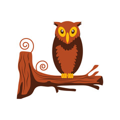 owl on branch tree