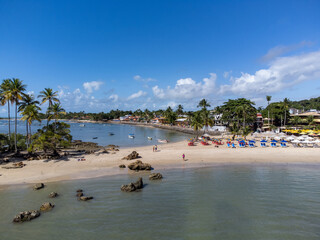 Fototapeta na wymiar Amazing paradise beach on island with many coconut trees - Morro de Sao Paulo, Bahia, Brazil