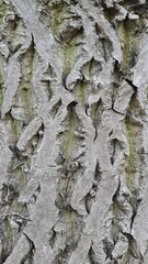 texture