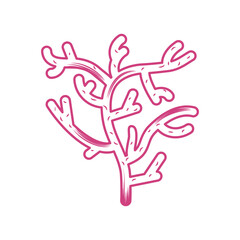 coral icon design