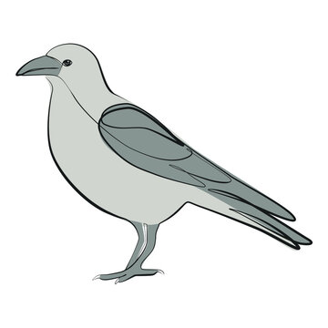 recommend clip art: Crow one line drawing on white isolated background. Vector illustration