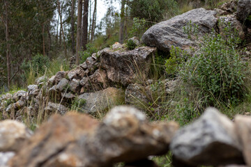 HUANCAVELICA, PERU - JUNE 29, 2022: Perspective view of a stone fence. Overhanging plants, trees in the background, and another out-of-focus fence in the foreground.