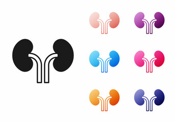 Black Human kidneys icon isolated on white background. Set icons colorful. Vector