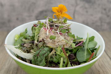 Organic natural greens salad with all plant based protein and topped with a beautiful flower