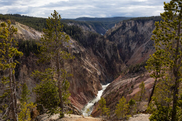 Rocky Canyon and River in American Landscape. Grand Canyon of The Yellowstone. Yellowstone National Park. United States. Nature Background.