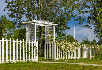 Beautiful white gate in the flowers on a sunny summer day. Garden gate with White Picket Fence.