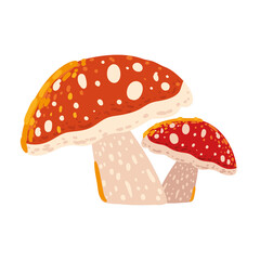 autumn mushroom nature