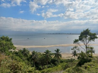 beach and trees