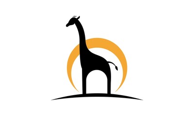 giraffe vector logo © enera
