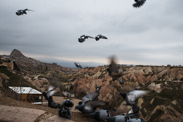 Cihan Bektas travelling images from Cappadocia,Urgup, TURKEY