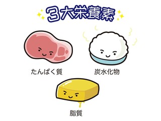 三大栄養素の栄養イラストセット