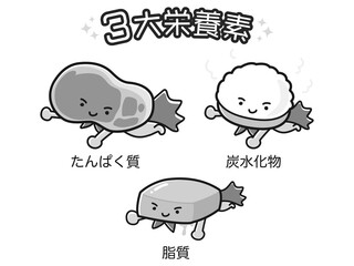 三大栄養素の栄養イラストセット